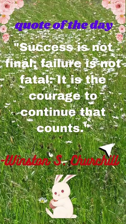 Wise Quotes