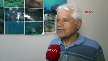 Prof. Dr. Gökoğlu: Köpek balığı avına tepki