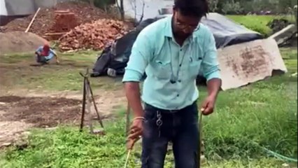 सांप से खतरा है, लेकिन मारें नहीं, कराएं रेस्क्यू, संरक्षण जरूरी