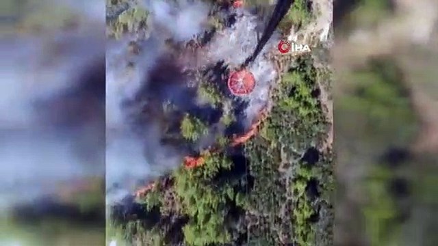 Marmaris'te iki ayrı noktada orman yangını
