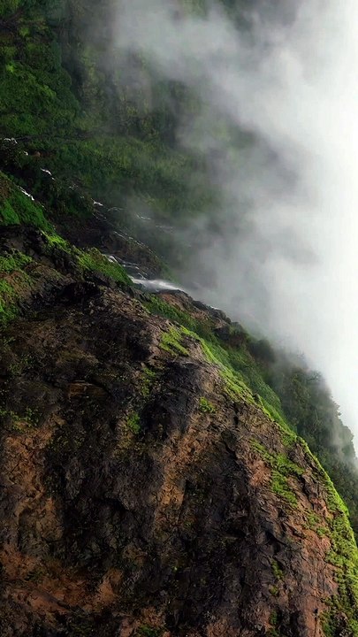 NATURE BEAUTY