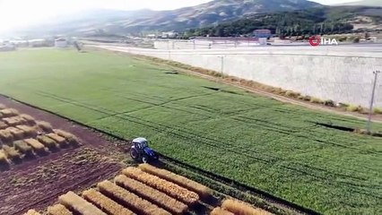 Dekan traktör koltuğuna geçiyor, bilim için tarla sürüp çapa yapıyor