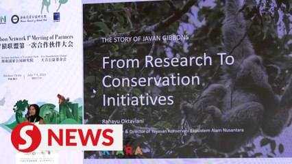 Experts call for joint efforts to protect gibbons at meeting in China's Haikou