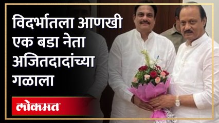 माजी मंत्री, विदर्भातल्या मोठ्या नेत्याचा अजित पवारांना पाठींबा, समर्थनासाठी दिले राजीनामे