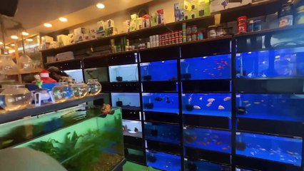 ഞാൻ ഒരുTALKING തത്തയെ വാങ്ങി  UNBOXINGDUDE l