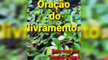 Oração do livramento. Bênçãos de Deus.