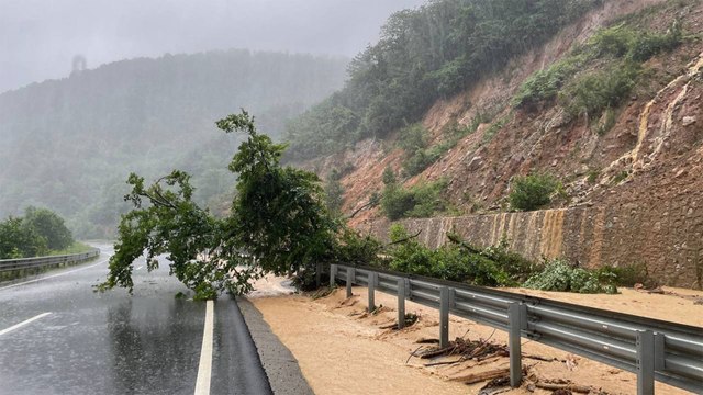 Zonguldak-İstanbul kara yolunda ise sağanağın ardından meydana gelen heyelan nedeniyle ulaşıma kapatıldı