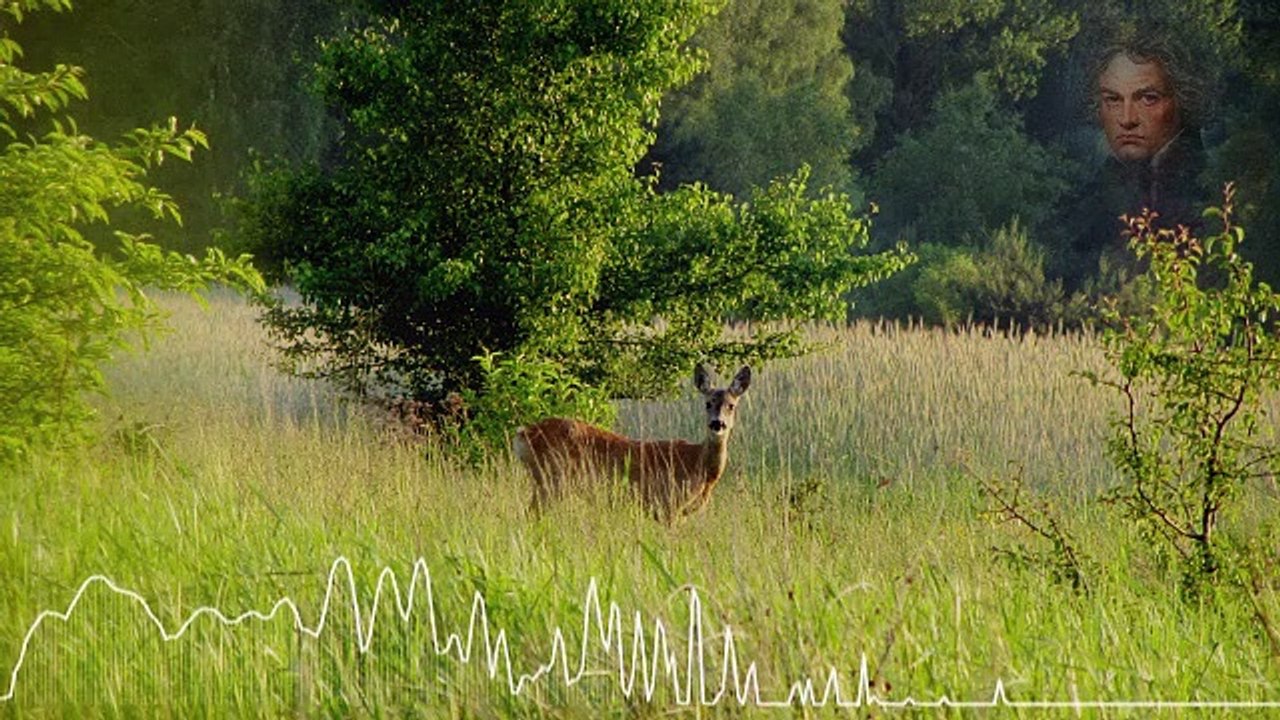 Ludwig van Beethoven Piano Concerto No. 5 In E-flat Major, Op. 73 Emperor II. Adagio un Poco Mosso-ORGAN REMIX