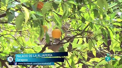 6 consejos para fortalecer la admiración. Admirar a otras personas