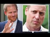 Il principe Harry 'più popolare di William' negli Stati Uniti secondo nuovi sondaggi