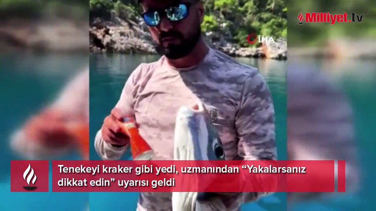 Tenekeyi kraker gibi yedi