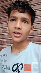 Sentinet Breed Pigeons For Sale