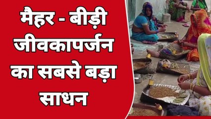 मैहर: बीड़ी कारोबार बना रोजगार का साधन, महिलाओं ने लिया हिस्सा