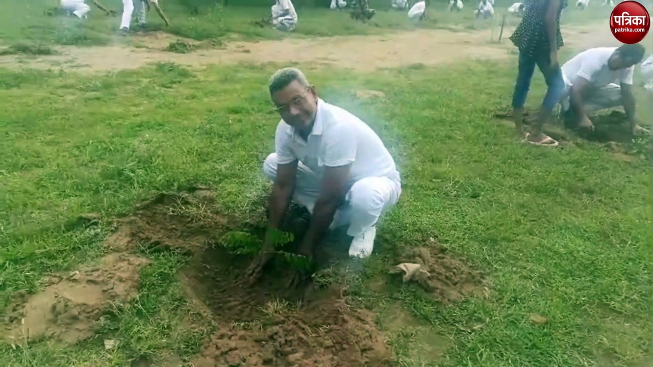 बम्बाला स्थित सीआइएसएस कैंप में रोपे पौधे, अफसर...