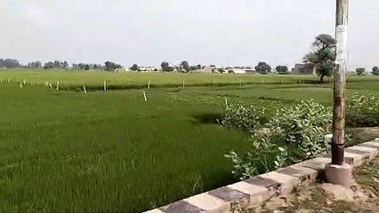 Everyone cooperated on the initiative of the patrika, now the own bui