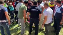 Un arbre est tombé à la lutte contre l'huile de Kırkpınar à Edirne : 2 femmes ont été blessées