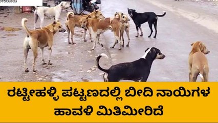 ರಟ್ಟೀಹಳ್ಳಿ ಪಟ್ಟಣದಲ್ಲಿ ಮಿತಿಮೀರಿದ ಬೀದಿ ನಾಯಿಗಳ ಹಾವಳಿ