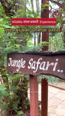 Experience Your First Jungle Safari Near Pune 🌿 – Just 1 Hour Away at Serrano Nature Resort
