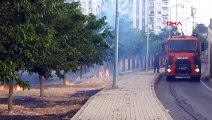 Diyarbakır'da Otluk Alanında Çıkan Yangın İtfaiye Tarafından Söndürüldü