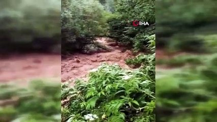 Des ruisseaux ont débordé après de fortes pluies à Artvin, des terres agricoles ont été endommagées