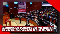 ¡VEAN! ¡Claudia, la sobrina del vil Salinas, es hecha añicos por la senadora Malú Mícher de Morena!