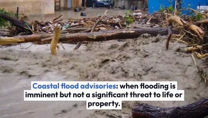 Not Known Factual Statements About mckinney weather