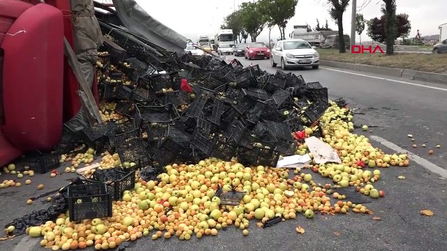 Eskişehir'de TIR Devrildi: Sürücü Yaralandı, Meyveler Yola Saçıldı