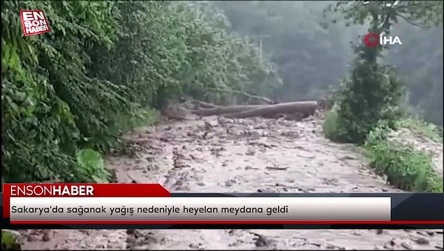 Sakarya'da sağanak yağış nedeniyle heyelan meydana geldi