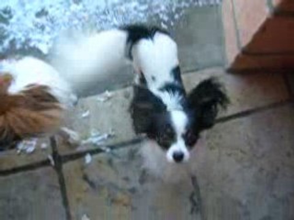 Shanna monte les marches vite sous la neige