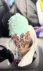 Twistee Treat Ocala, FL 2021