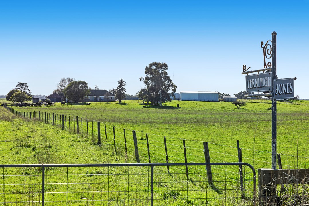 Dartmoor farm heads to auction | July 10, 2023 | Farmonline