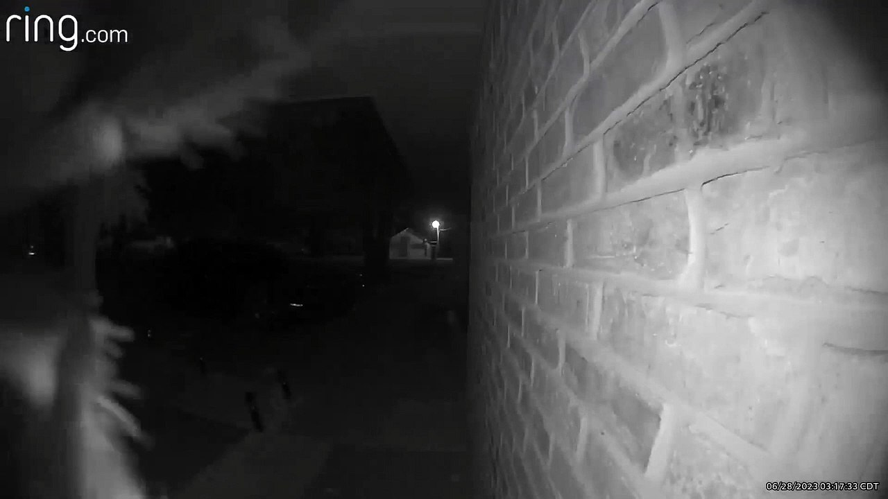 Tarantula Knocks On Doorbell Camera