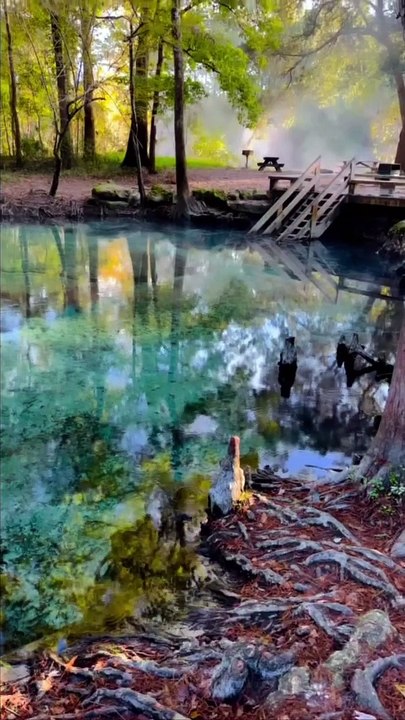 Florida, I'ts magical here