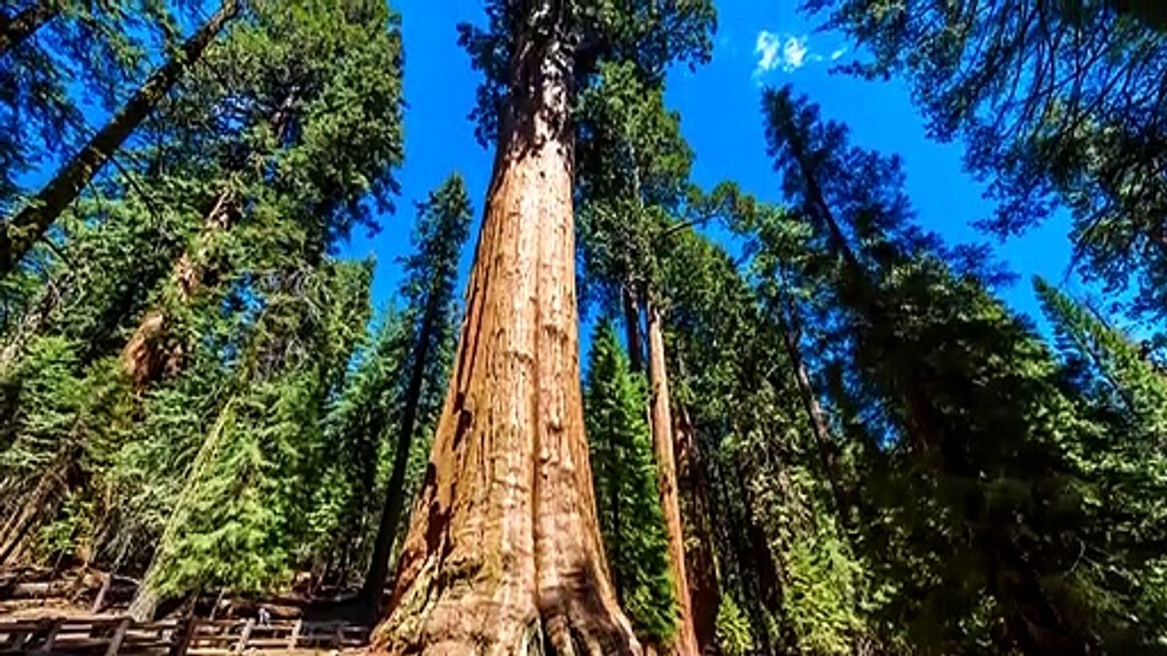 20 Dinge Die Viel Größer Sind Als Du Gedacht Hast!