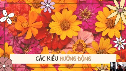 Sinh 11 - Bài 23: Khám Phá Hướng Động 🌍