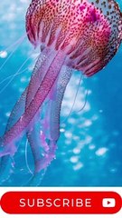 Niwel - Bad Love (Vocal Edit) (Audio music free Copyright)