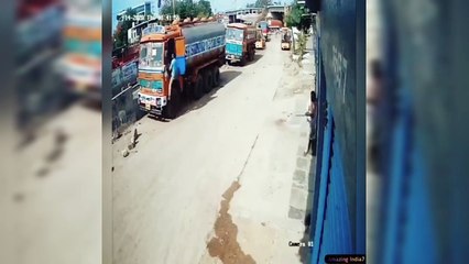 Tiger chasing bike riders