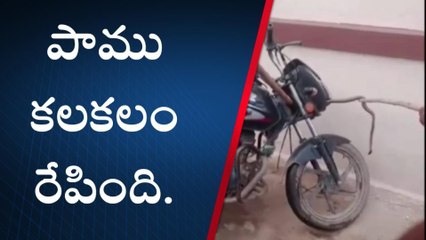 ఎమ్మిగనూరు: బైక్ లో దూరిన పాము... ఏం చేశారంటే