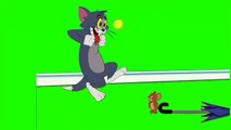 Green Screen Tom and Jerry Cartoon(360P)
