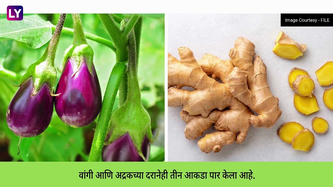 Vegetable Price Hike: पावसामुळे भाज्यांचे भाव 30 ते 40 टक्क्यांनी वाढले, दरानेही शंभरी केली पार