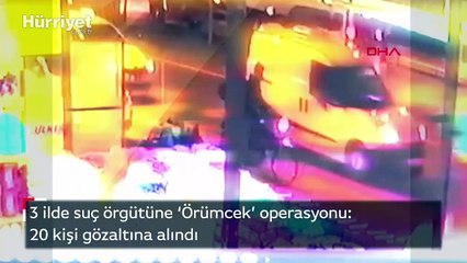 3 ilde suç örgütüne ‘Örümcek’ operasyonu: 20 kişi gözaltına alındı