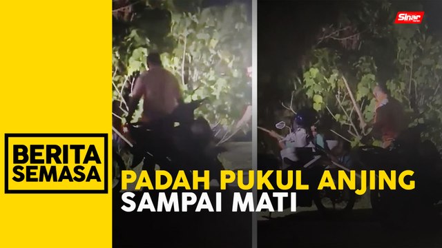 Tiga lelaki ditahan bantu kes pukul anjing sampai mati