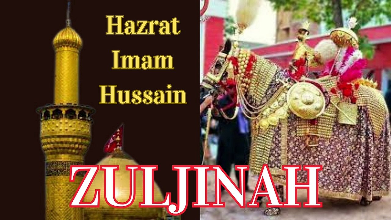Zuljinah | Shabeeh-e-zuljinah | ذوالجناح |
