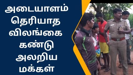அரியலூர்: மர்ம விலங்குகளால் மக்கள் பீதி!