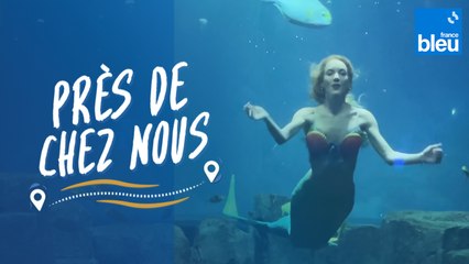 PORTRAIT. Elle invente son métier et devient sirène à l'Aquarium de Paris