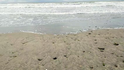 03 07 2023 tour de la pointe sud de l ile (2)LubyEmy38