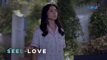 The Seed of Love: The troubled wife has gone missing! (Episode 46)
