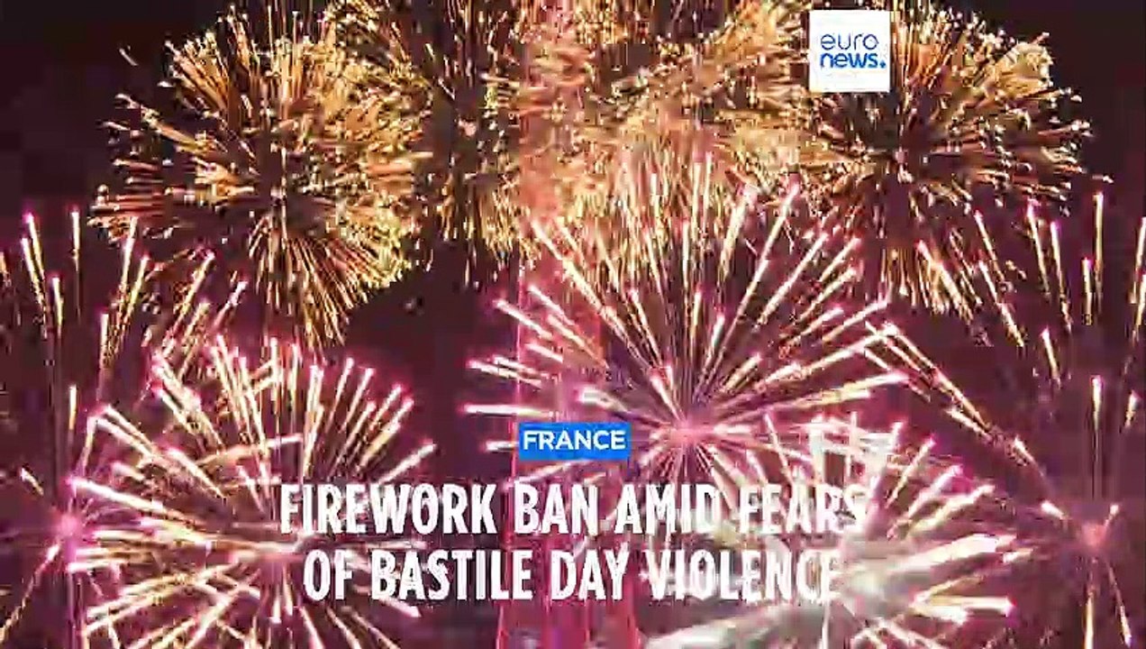 French authorities ban the transport and sale of fireworks ahead of ...