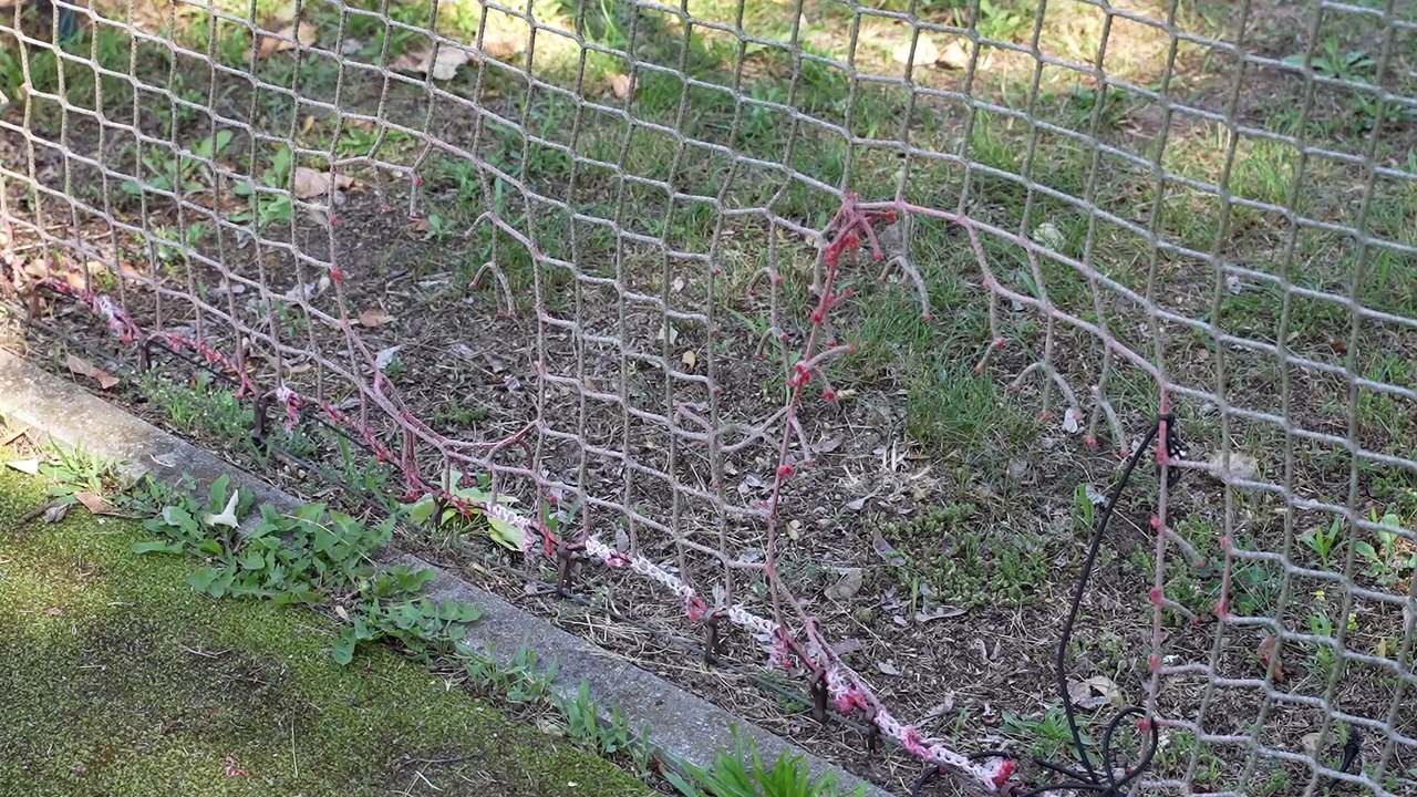 Gazeta Lubuska. Kostrzyn nad Odrą. Wandale niszczą obiekty sportowe w Kostrzynie