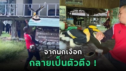 เมื่อ ตชด. ช่วยชีวิตนกเงือก ชีวิตพวกเขาก็ไม่สงบอีกต่อไป